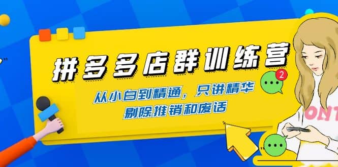 拼多多店群训练营：从小白到精通，只讲精华，剔除推销和废话-创想网
