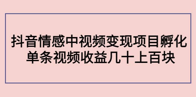 抖音情感中视频变现项目孵化-创想网