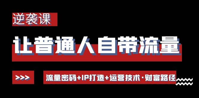 让普通人自带流量的逆袭课：流量密码 IP打造 运营技术·财富路径-创想网
