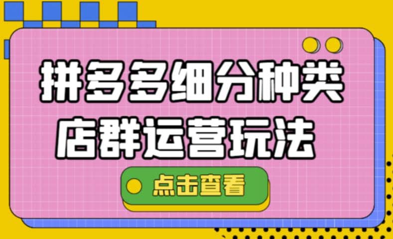 拼多多细分种类店群运营玩法3.0，11月最新玩法，小白也可以操作-创想网