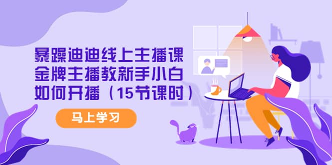 暴躁迪迪线上主播课，金牌主播教新手小白如何开播（15节课时）-创想网