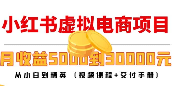 小红书虚拟电商项目：从小白到精英 (视频课程 交付手册)-创想网