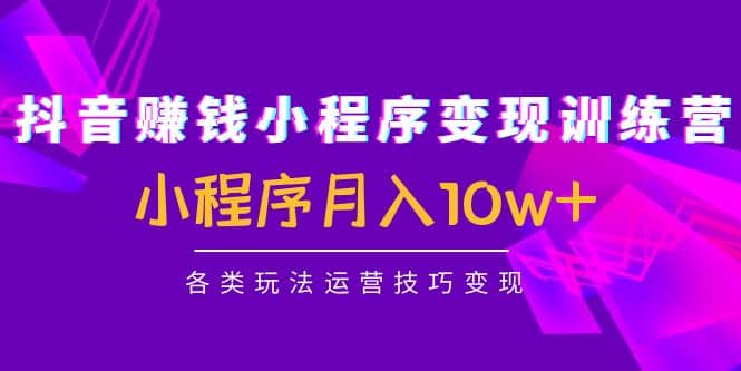 抖音小程序变现训练营：小程序各类玩法运营技巧变现-创想网