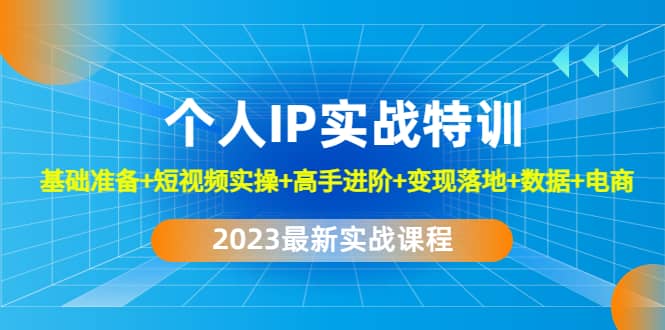 2023个人IP实战特训：基础准备 短视频实操 高手进阶 变现落地 数据 电商-创想网