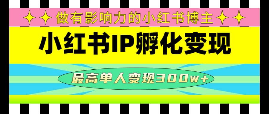 某收费培训-小红书IP孵化变现：做有影响力的小红书博主-创想网