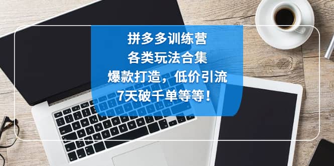 拼多多训练营：各玩法合集，爆款打造，低价引流，7天破千单等等-创想网