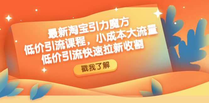 最新淘宝引力魔方低价引流实操：小成本大流量-创想网