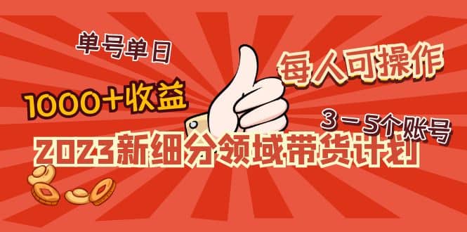 2023新细分领域带货计划：单号单日1000 收益不难，每人可操作3-5个账号-创想网