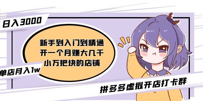 拼多多虚拟开店打卡群：新手到入门到精通-创想网