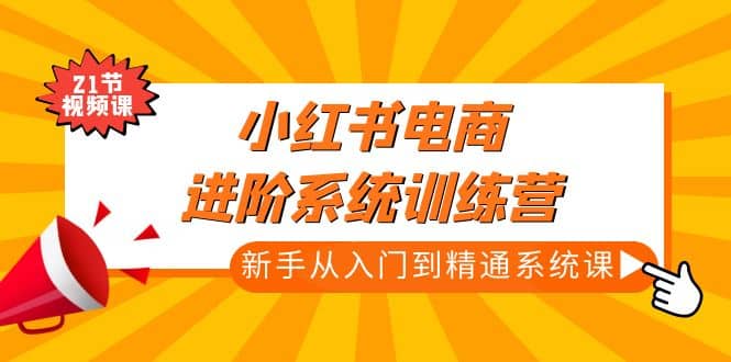 小红书电商进阶系统训练营：新手从入门到精通系统课（21节视频课）-创想网