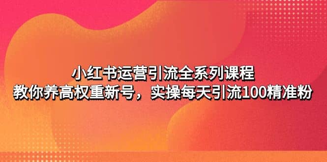 小红书运营引流全系列课程：教你养高权重新号-创想网