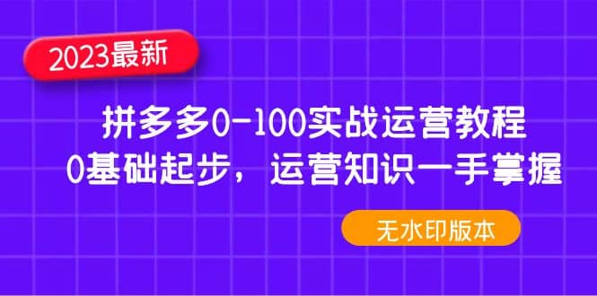 2023拼多多0-100实战运营教程，0基础起步，运营知识一手掌握（无水印）-创想网