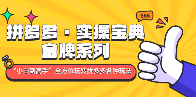 拼多多·实操宝典：金牌系列“小白到高手”带你全方位玩转拼多多各种玩法-创想网