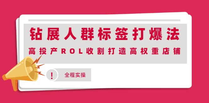 钻展人群标签打爆法，高投产ROL收割打造高权重店铺(全程实操)-创想网