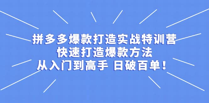 拼多多爆款打造实战特训营：快速打造爆款方法，从入门到高手 日破百单-创想网
