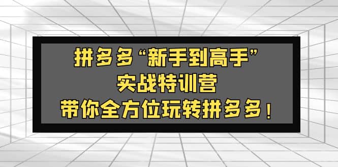拼多多“新手到高手”实战特训营：带你全方位玩转拼多多-创想网
