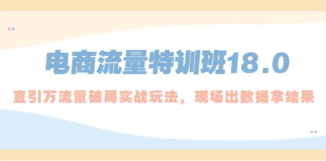 电商流量特训班18.0，直引万流量破局实操玩法，现场出数据拿结果-创想网