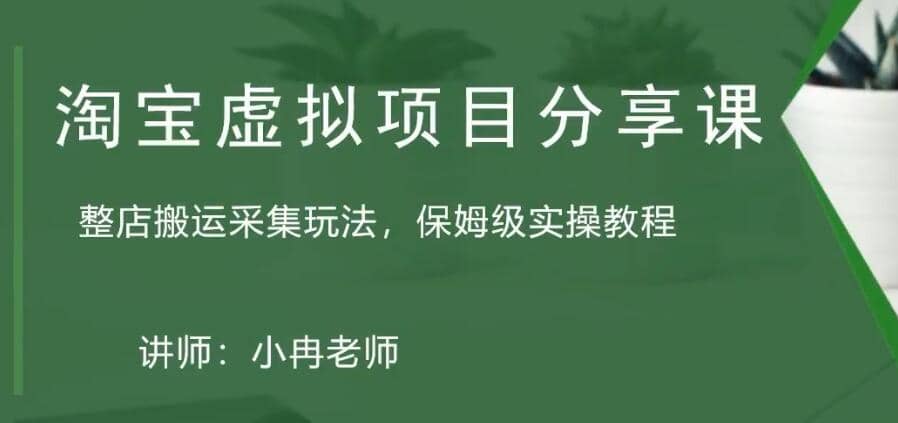 淘宝虚拟整店搬运采集玩法分享课：整店搬运采集玩法，保姆级实操教程-创想网
