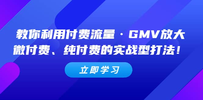 教你利用付费流量·GMV放大，微付费、纯付费的实战型打法-创想网