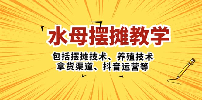 水母·摆摊教学，包括摆摊技术、养殖技术、拿货渠道、抖音运营等-创想网