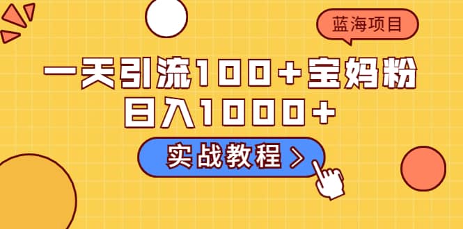 一天引流100 宝妈粉，日入1000 的蓝海项目（实战教程）-创想网