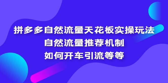 拼多多自然流量天花板实操玩法：自然流量推荐机制，如何开车引流等等-创想网