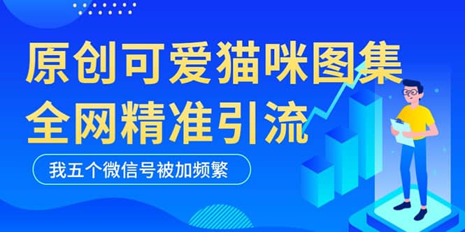黑科技纯原创可爱猫咪图片，全网精准引流，实操5个VX号被加频繁-创想网