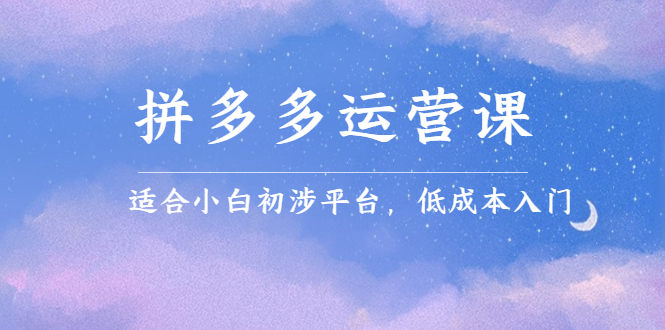 拼多多运营课，适合小白初涉平台，低成本入门-创想网