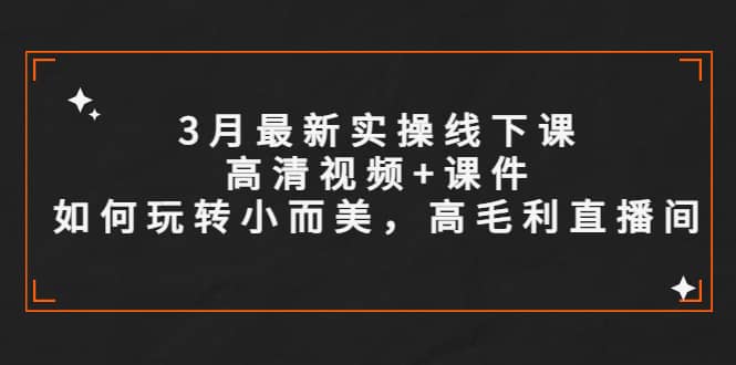 3月最新实操线下课高清视频 课件，如何玩转小而美，高毛利直播间-创想网