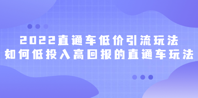 2022直通车低价引流玩法，教大家如何低投入高回报的直通车玩法-创想网