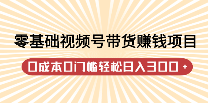 零基础视频号带货赚钱项目，0成本0门槛轻松日入300 【视频教程】-创想网