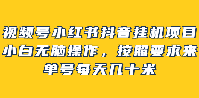 视频号小红书抖音挂机项目，小白无脑操作，按照要求来，单号每天几十米-创想网