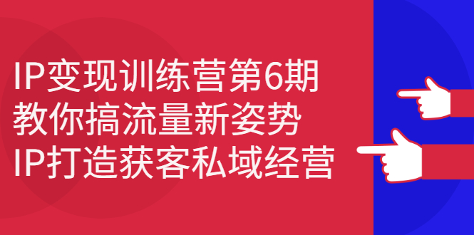 IP变现训练营第6期：教你搞流量新姿势，IP打造获客私域经营-创想网