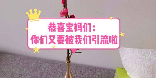 恭喜宝妈们：你们又要被我们引流了（教程 222g资料）-创想网