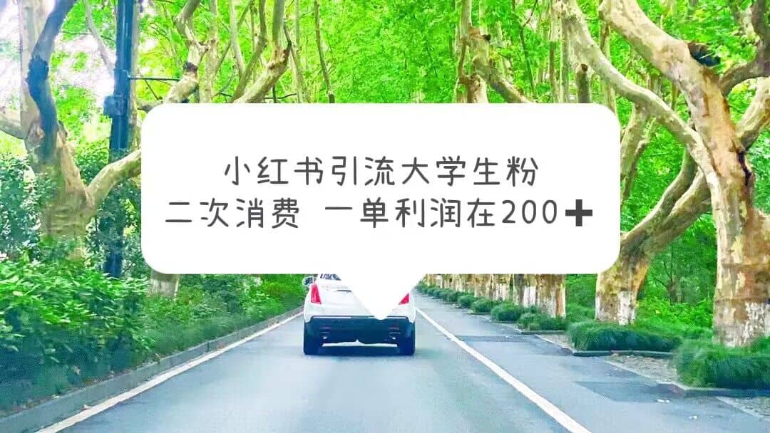小红书引流大学生粉，变现项目，一单利润在200 （教程 资源）-创想网
