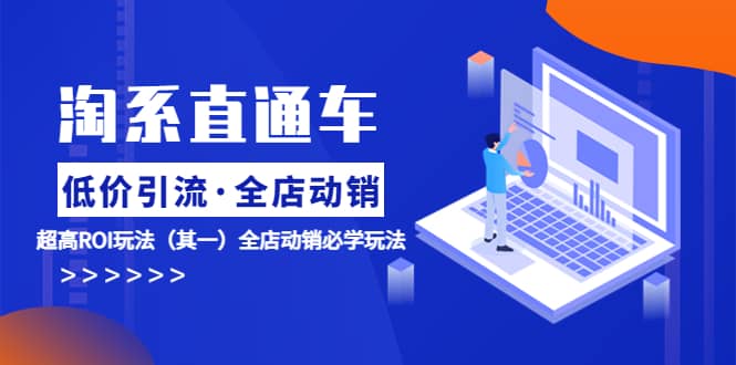 淘系直通车《低价·引流 全店·动销》超高ROI玩法（其一）全店动销必学玩法-创想网