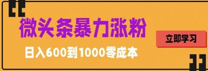 微头条暴力涨粉技巧搬运文案就能涨几万粉丝，简单0成本，日赚600-创想网