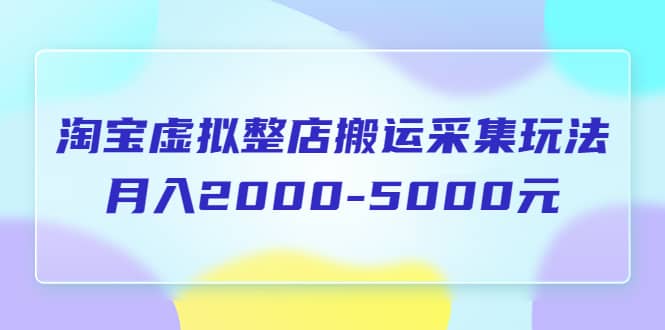 淘宝虚拟整店搬运采集玩法分享课：月入2000-5000元（5节课）-创想网