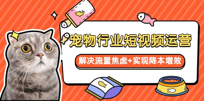 宠物/行业短视频运营 流量增长的一层窗户纸 解决流量焦虑 实现降本增效-创想网
