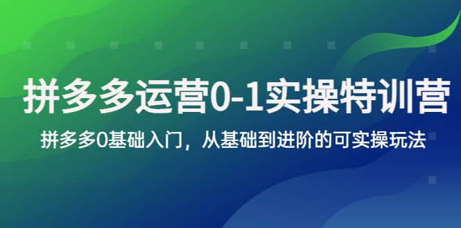 拼多多-运营0-1实操训练营，拼多多0基础入门，从基础到进阶的可实操玩法-创想网