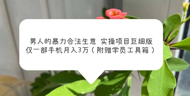 男人的暴力合法生意实操项目巨细版：仅一部手机月入3w（附赠学员工具箱）-创想网