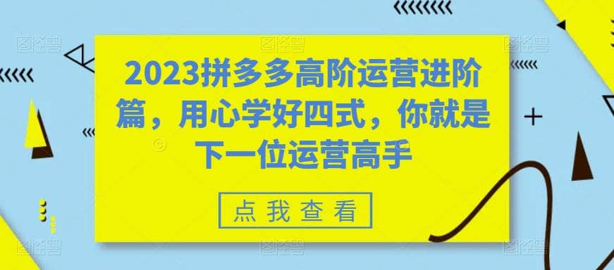 2023拼多多高阶运营进阶篇，用心学好四式，你就是下一位运营高手-创想网