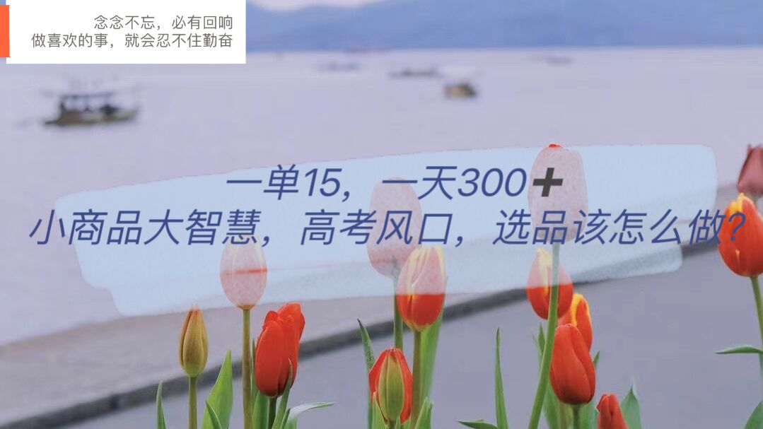 一单15，一天300 ，小商品大智慧，高考风口，选品该怎么布局-创想网