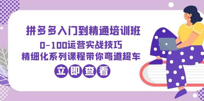 2023拼多多入门到精通培训班：0-100运营实战技巧 精细化系列课带你弯道超车-创想网