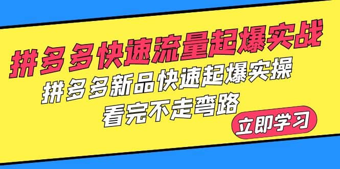 拼多多-快速流量起爆实战，拼多多新品快速起爆实操，看完不走弯路-创想网