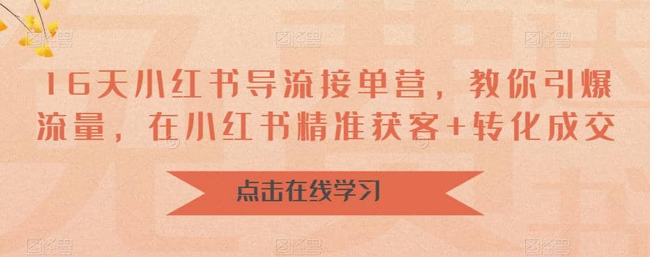 16天-小红书 导流接单营，教你引爆流量，在小红书精准获客 转化成交-创想网