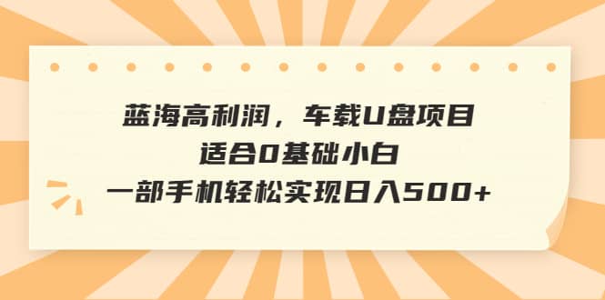 蓝海高利润，车载U盘项目，适合0基础小白，一部手机轻松实现日入500-创想网