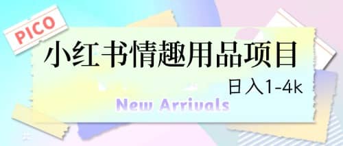 最新小红书情趣用品项目，日入1-4k-创想网