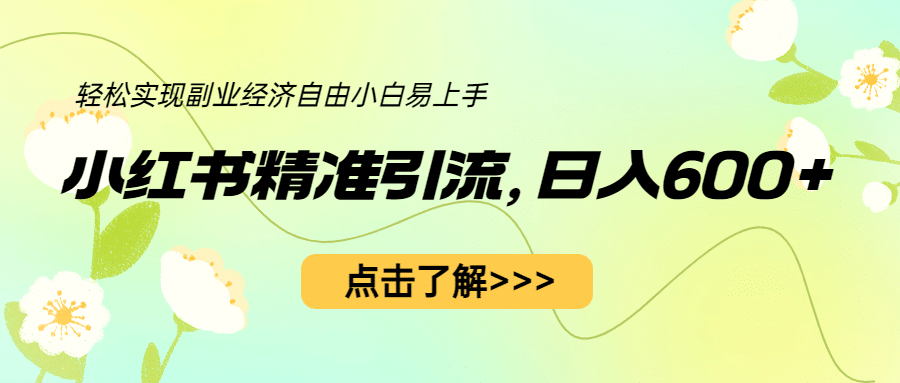 小红书精准引流，小白日入600 ，轻松实现副业经济自由（教程 1153G资源）-创想网