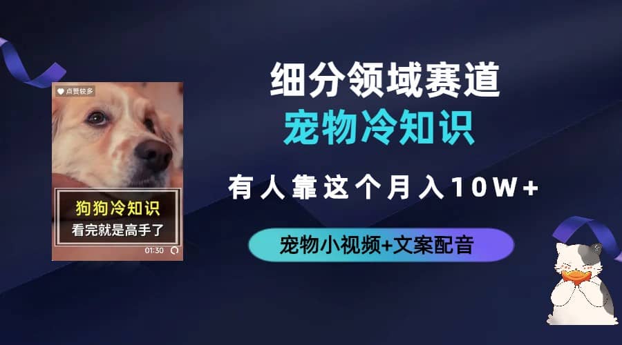 不起眼的抖音细分赛道-宠物冷知识，一段宠物视频配文案，有人靠这个月入10w-创想网